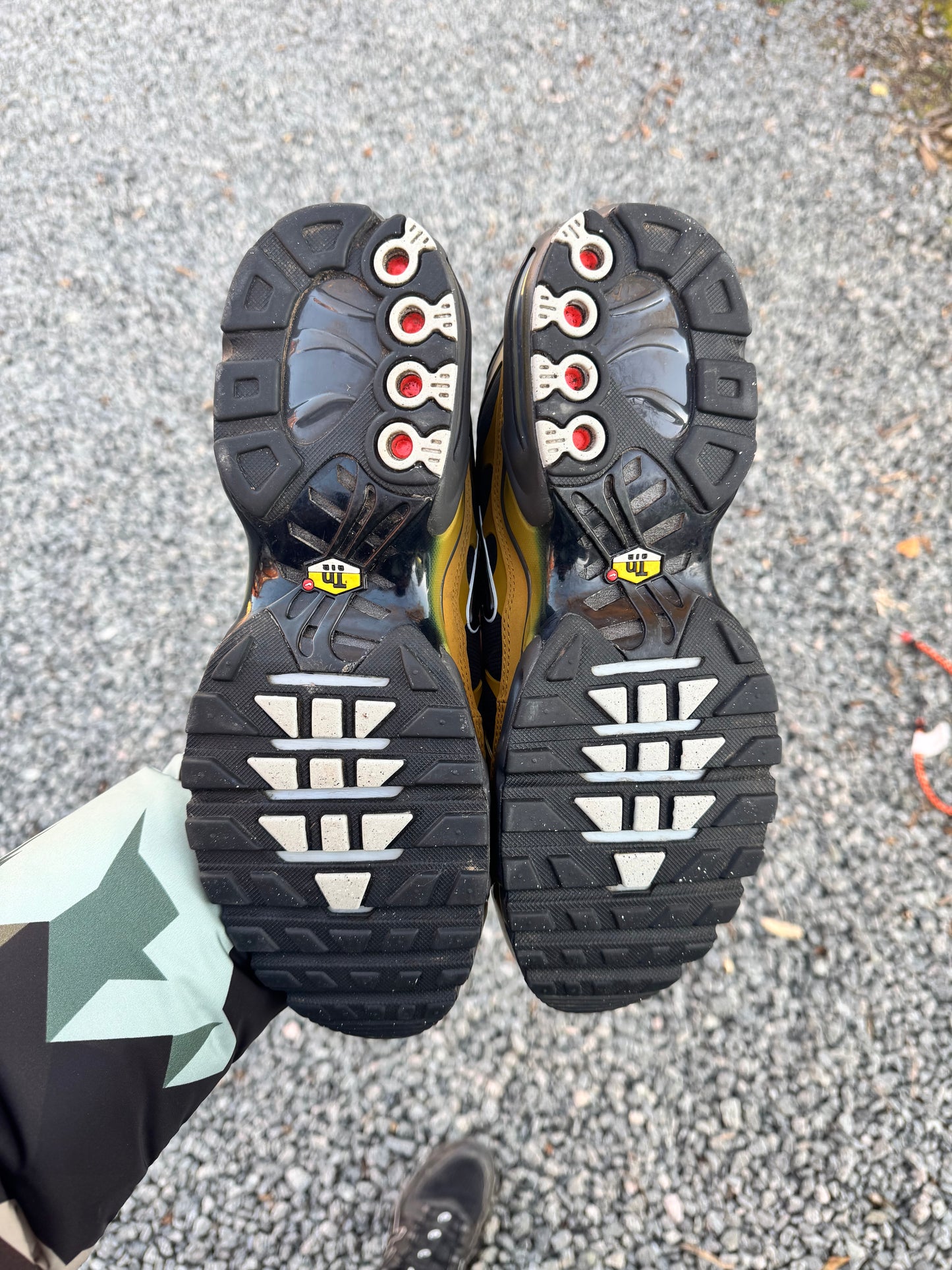 Nike air max Tn ‘Bronzine’